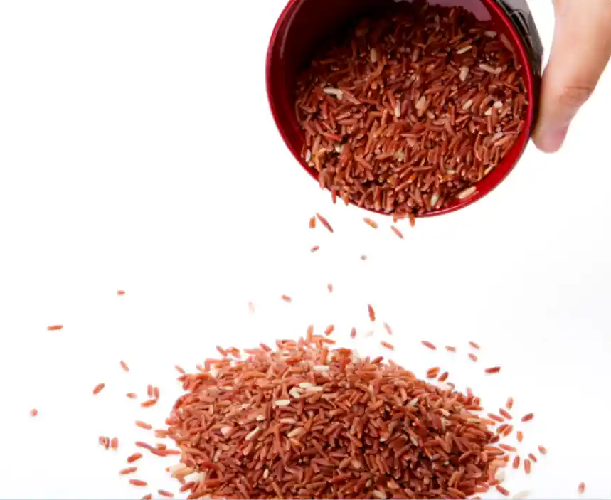 Can I Feed My Dog Rice Every Day? Puppies Diary