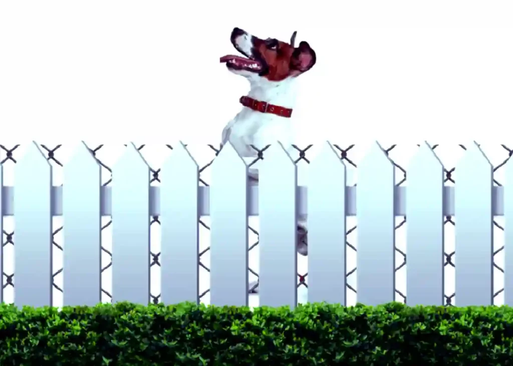 How to stop a dog from digging a fence?