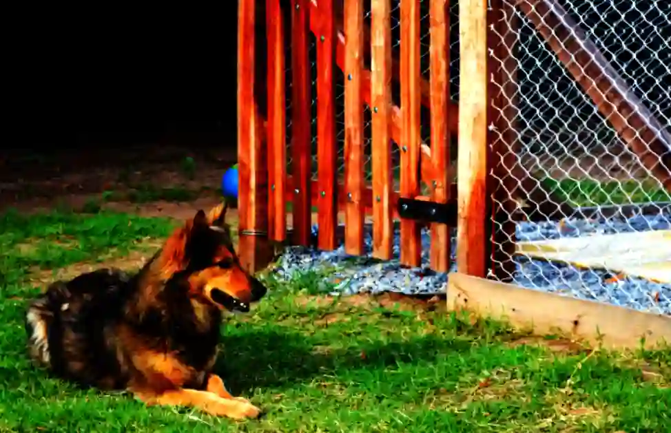 can i stop a dog from digging under a fence?