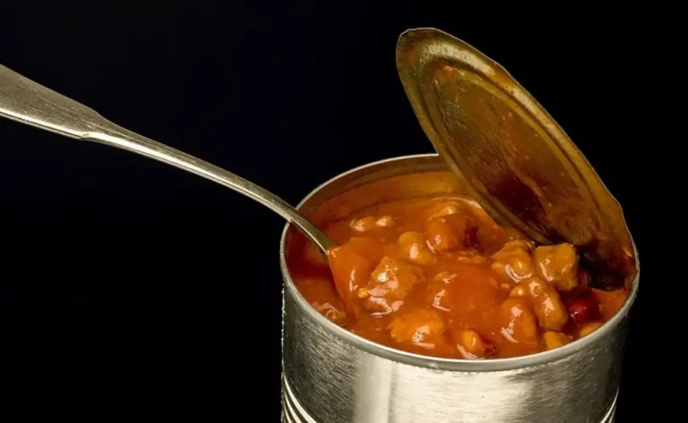 Can I Fed My Dog Canned Chili