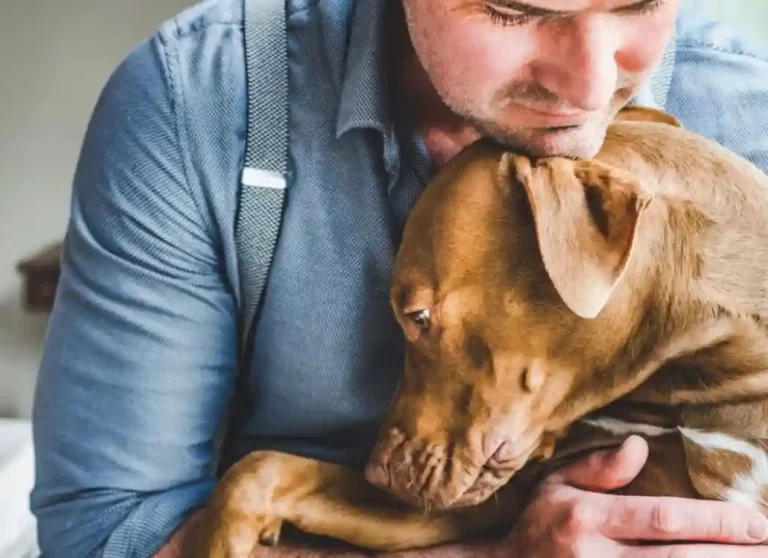 Do Dogs Know When You Are Sick