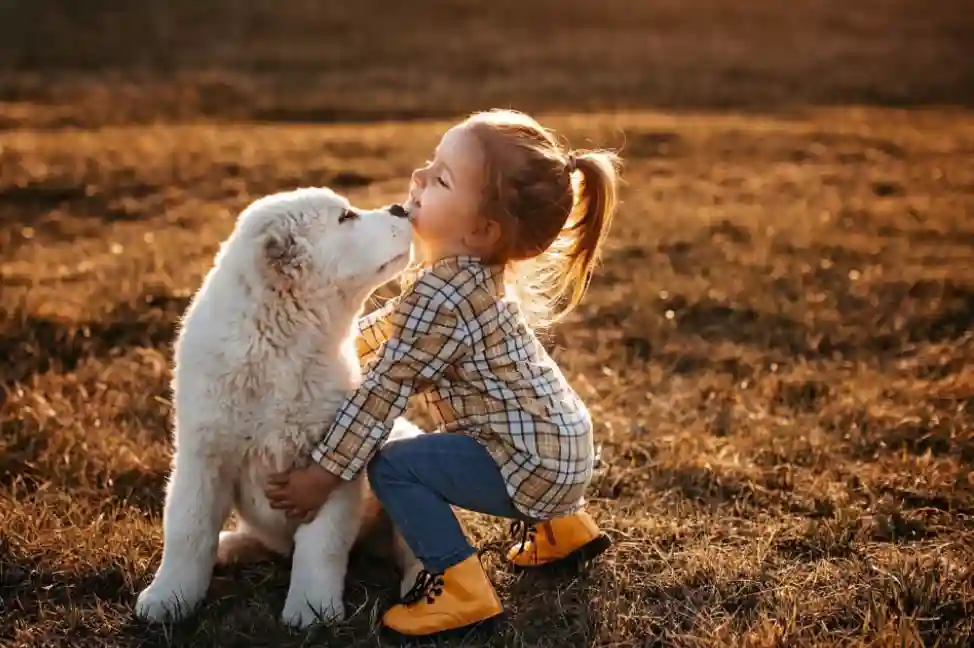 Training Your Dog to Come Back When Called