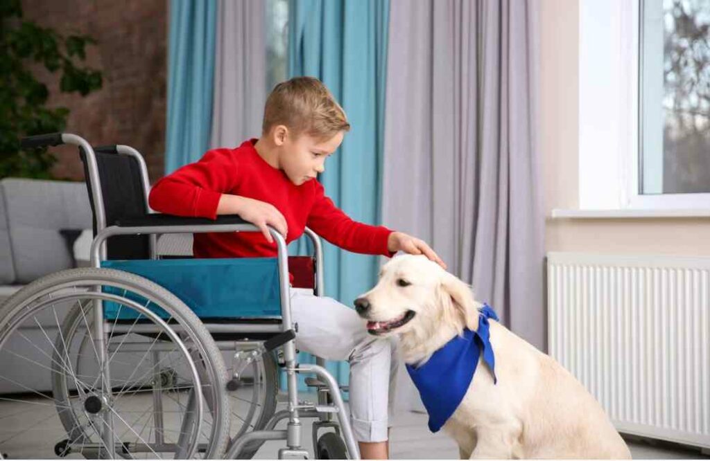 Service Dog