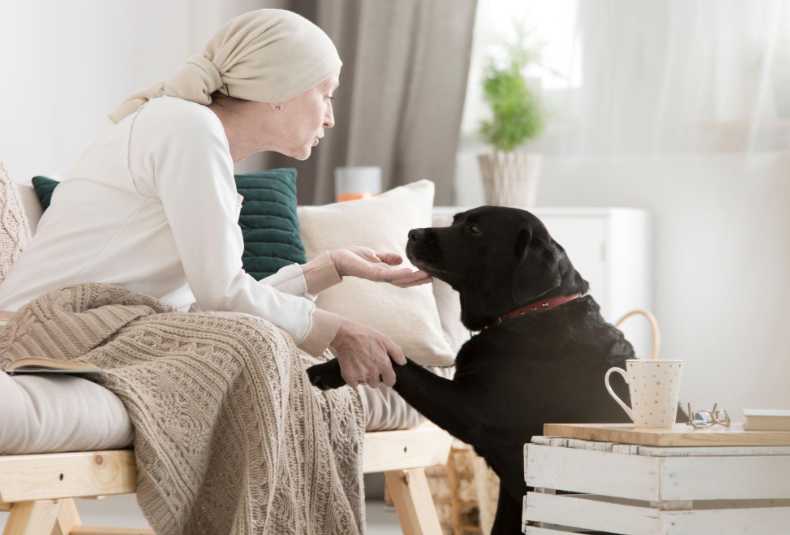 Connect Deeply With Dogs