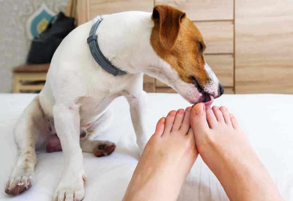 Foot lick Fetish