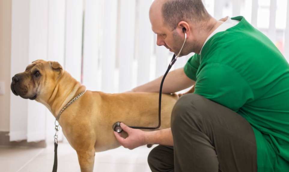 Signs and symptoms of Hip Dysplasia