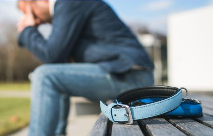 grieving human loss and pet loss