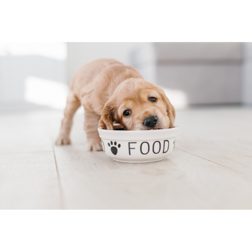 Foods
